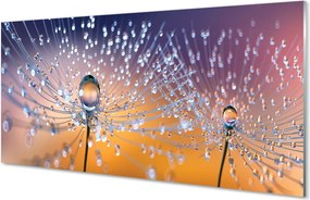 Panel nad Blat Kuchenny Kryształowe Parasolki Dmuchawca