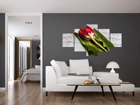 Obraz czerwonego tulipana (125x70 cm)