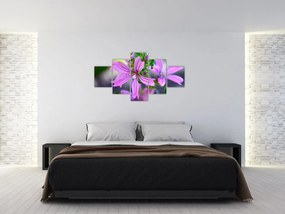 Zbliżenie kwiatu (125x70 cm)