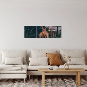 Obraz dwóch żyraf (z zegarem) (90x30 cm)