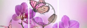 Obraz - Motyl na kwiatach orchidei, liliowy (z zegarem) (90x30 cm)