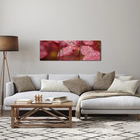 Obraz - Obraz biletu w trybie makro (z zegarem) (90x30 cm)