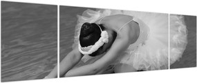 Obraz - Balerina, czarno-biały (170x50 cm)