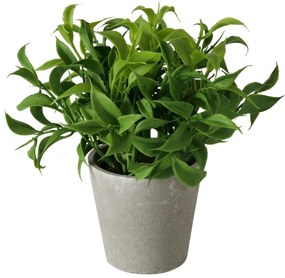 Sztuczna roślina w cementowej doniczce FERN, 17 cm