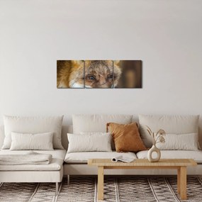 Obraz lisa (z zegarem) (90x30 cm)