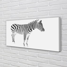 Obraz na płótnie Malowana zebra