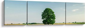 Obraz drzewa na łące (170x50 cm)