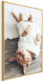 Plakat Leniwy kot 40x60 cm z ramą złotą bez marginesu ARTGEIST B