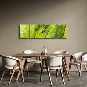 Obraz węża (170x50 cm)