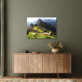 Obraz na szkle - Machu Picchu (70x50 cm)