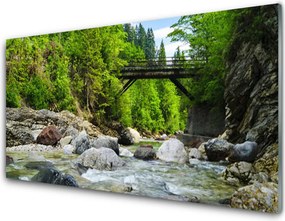 Panel Szklany Mostek w Cieniu Drzew