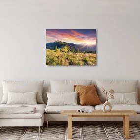 Obraz na szkle - Krajobraz leśny (70x50 cm)