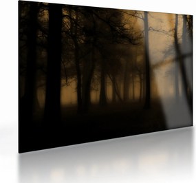 Obraz na szkle - Ciemny las (70x50 cm)
