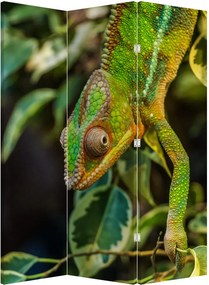 Parawan - Kameleon (126x170 cm)