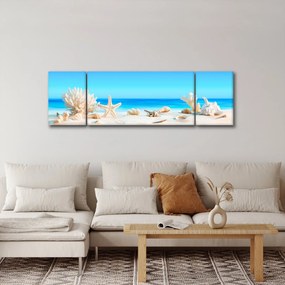 Obraz - Martwa natura z muszelkami (170x50 cm)