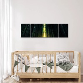 Obraz ciemnego lasu (170x50 cm)