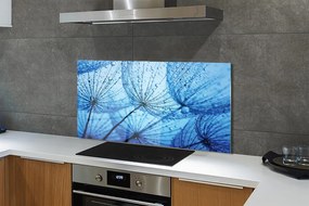 Panel szklany do Kuchni Puszyste Dmuchawce z Rosą