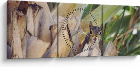 Obraz wiewiórki na drzewie (z zegarem) (90x30 cm)