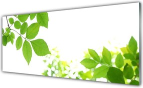 Szkło Ozdobne do Kuchni Aksamitne Płatki Kwiatowe