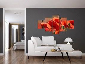 Obraz maków (125x70 cm)