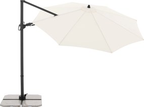 Derby DX 335 cm beżowa