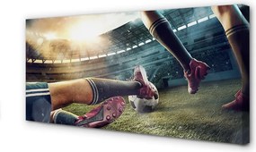 Fotoobraz na płótnie Sprzęt Piłkarski Na Murawie