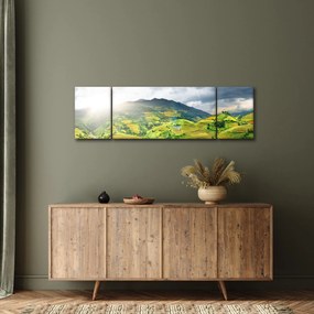Obraz plantacji (170x50 cm)
