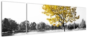 Obraz - Odpoczynek w parku (170x50 cm)