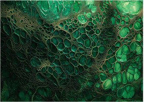 Obraz na szkle - Zielony mikroskopowy obraz (70x50 cm)