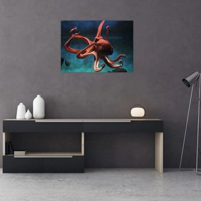 Obraz na szkle - Ośmiornica (70x50 cm)