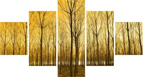 Obraz - Plantacja drzew (125x70 cm)
