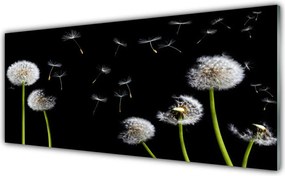 Szkło do Kuchni na Ścianę Puszysty Mniszek Lekarski