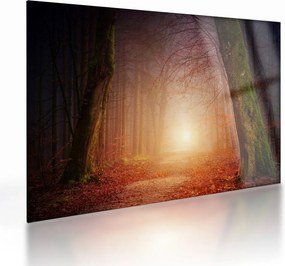 Obraz na szkle - jesienny las we mgle (70x50 cm)