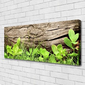 Obraz canvas Kwiaty Ukryte w Trawie