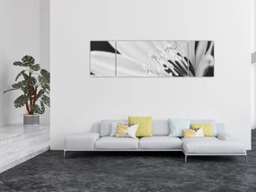 Obraz - Czarno-biały kwiat (170x50 cm)