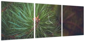 Obraz - Detal sosny (z zegarem) (90x30 cm)