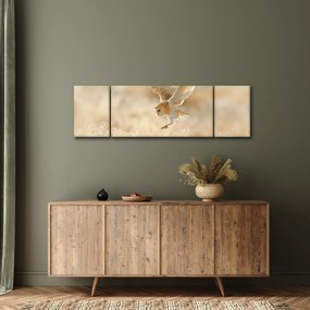 Obraz - Sowa Płomykówka (170x50 cm)