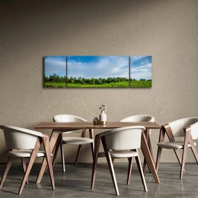 Obraz łąki (170x50 cm)