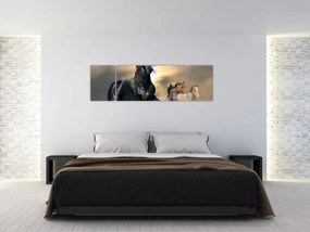 Obraz - Konie (170x50 cm)