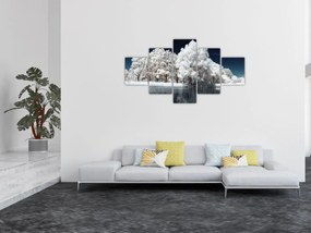 Obraz - Śnieżnobiałe drzewa (125x70 cm)
