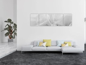 Obraz - Pióra (170x50 cm)