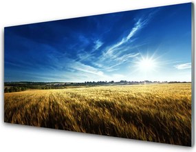 Szkło Ozdobne do Kuchni Słoneczne Łany Zboża