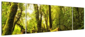 Obraz omszałej dżungli (170x50 cm)