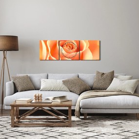 Obraz - Róże, kolor morelowy (z zegarem) (90x30 cm)
