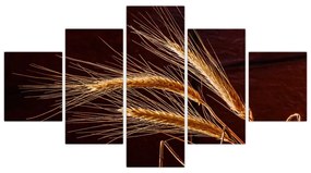 Obraz - Fragment kłosa żyta (125x70 cm)