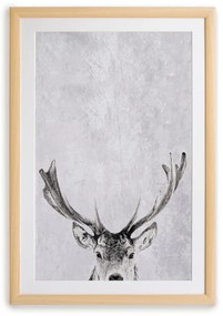 Obraz 30x40 cm Deer – Surdic