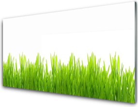 Szkło do Kuchni na Ścianę Soczysta Zieleń Polany