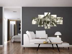 Obraz - Żyrafy, vintage (125x70 cm)