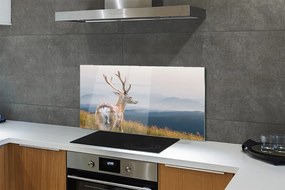 Panel nad Blat Kuchenny Jeleń na tle Górskich Szczytów