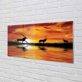 Panel szklany do Kuchni Ptaki nad Jeziorem o Zmierzchu